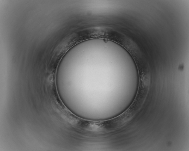 X0000112500753200908241349