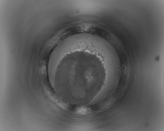 X0000112500754200908241349