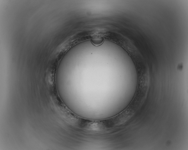 X0000112500755200908241349