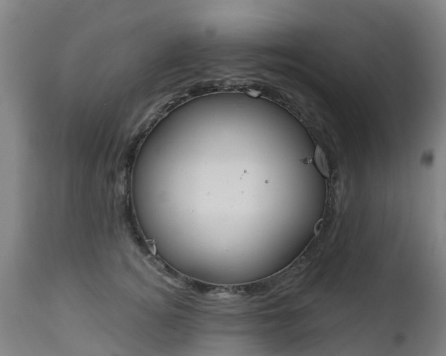 X0000112500756200908241349