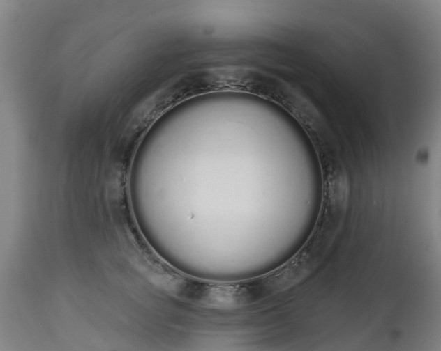 X0000112500757200908241349