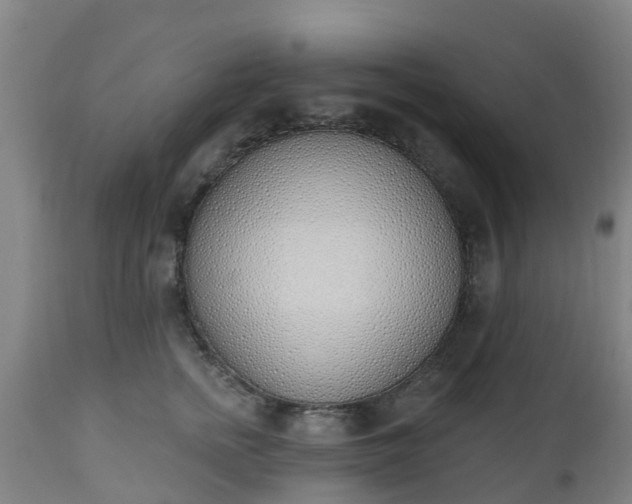 X0000112500758200908241349