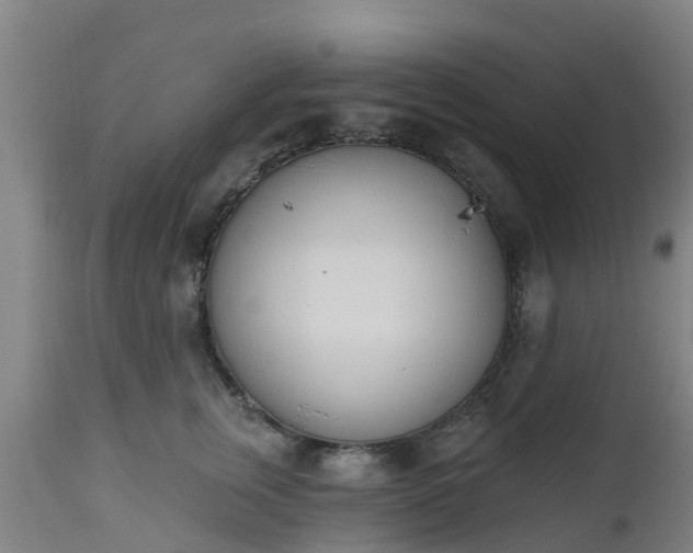 X0000112500759200908241349