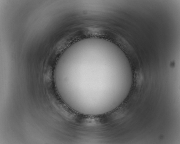 X0000112500760200908241349