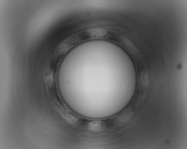 X0000112500761200908241349