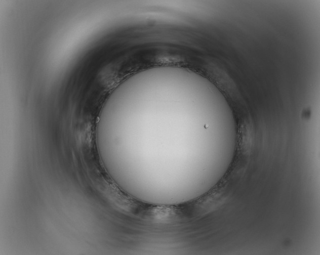 X0000112500762200908241349