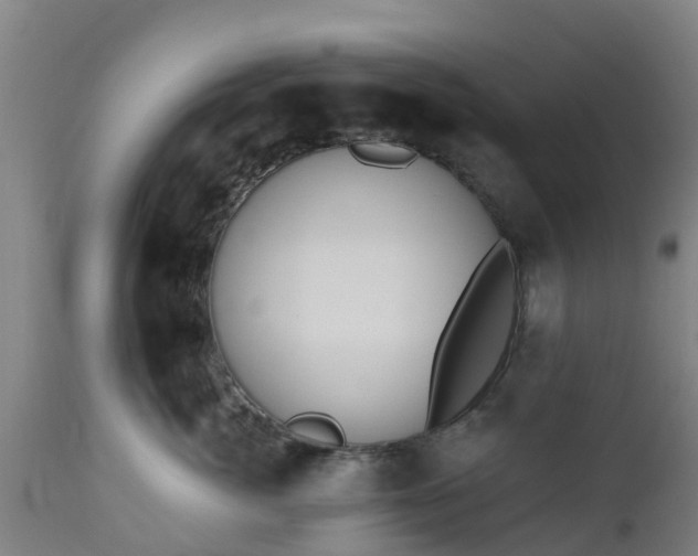 X0000112500764200908241349