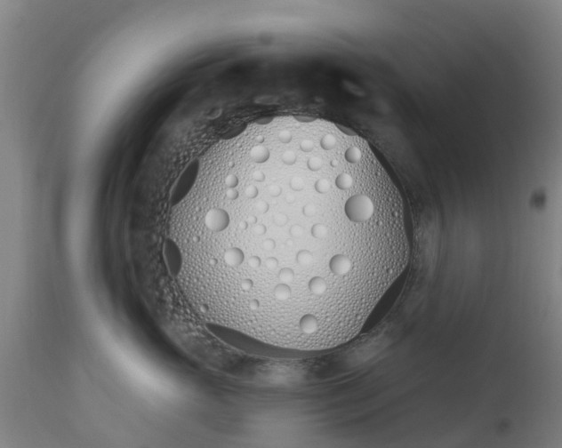 X0000112500765200908241349