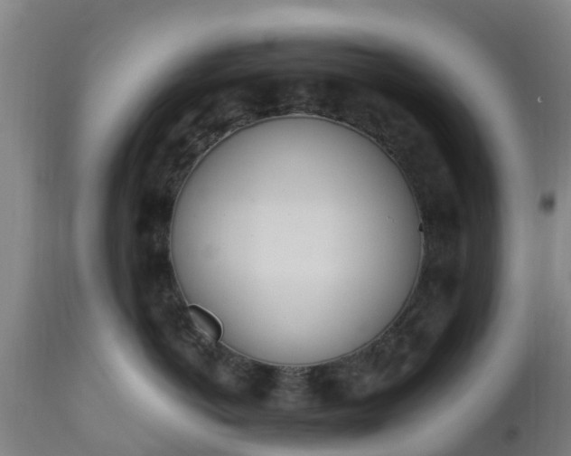 X0000112500766200908241349