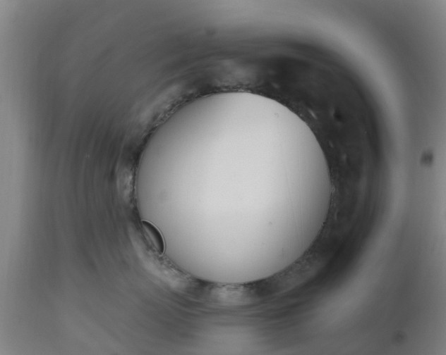 X0000112500767200908241349