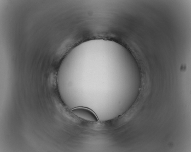 X0000112500768200908241349