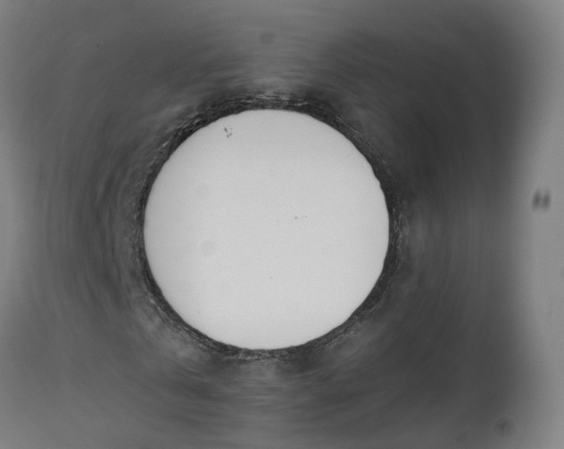 X0000112500769200908241348