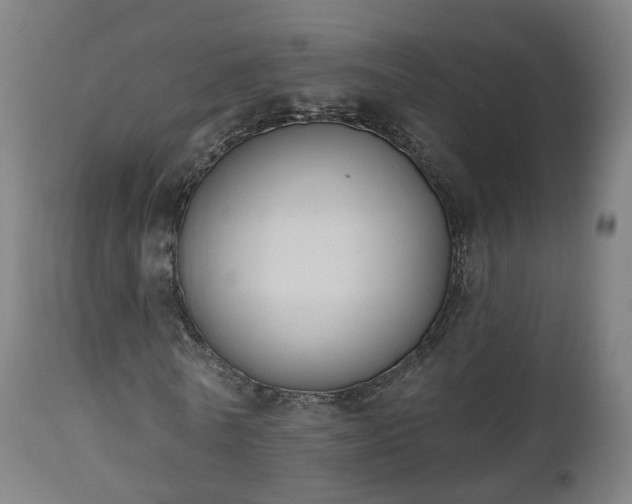 X0000112500770200908241348