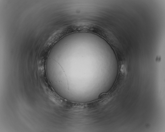 X0000112500771200908241348