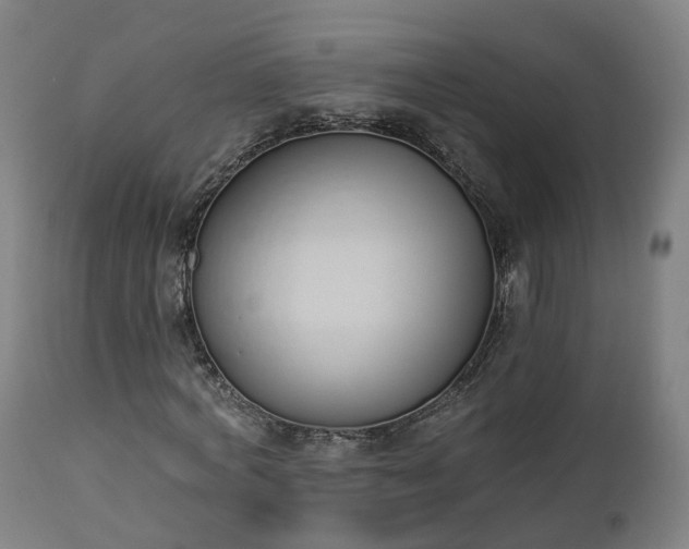 X0000112500772200908241348