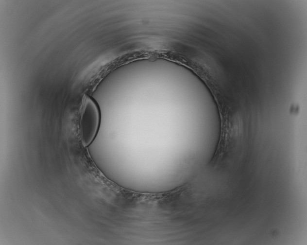 X0000112500773200908241348