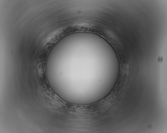 X0000112500774200908241348