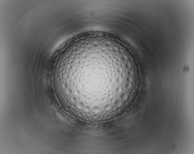 X0000112500775200908241348