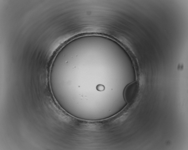 X0000112500781200908241348