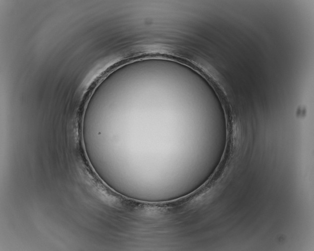 X0000112500782200908241348