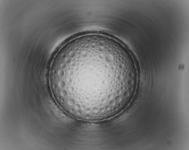 X0000112500783200908241348