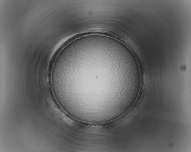 X0000112500784200908241348