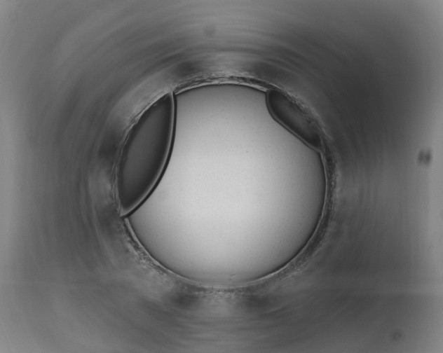 X0000112500785200908241348