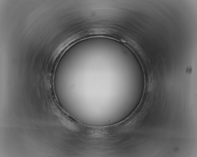 X0000112500786200908241348