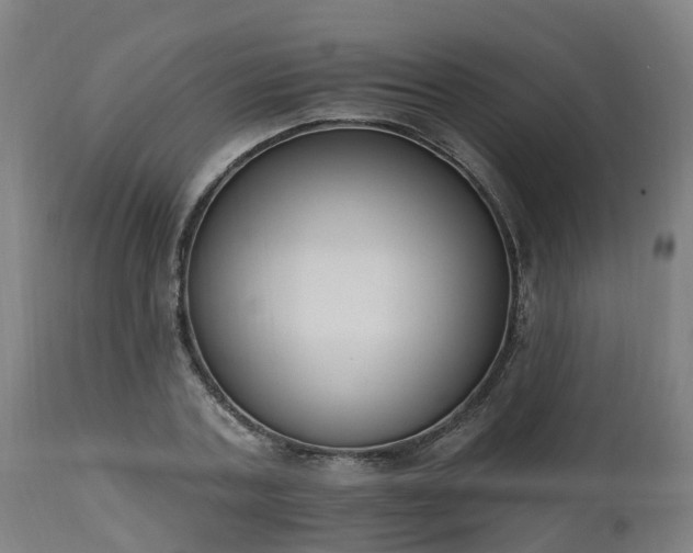 X0000112500787200908241348