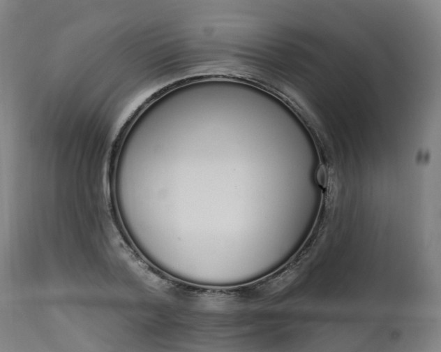 X0000112500788200908241348