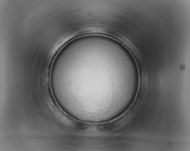 X0000112500790200908241348