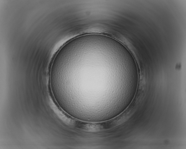 X0000112500795200908241348