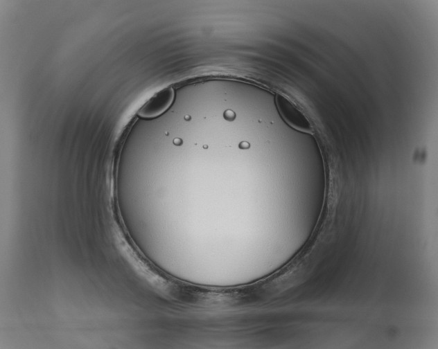 X0000112500796200908241348