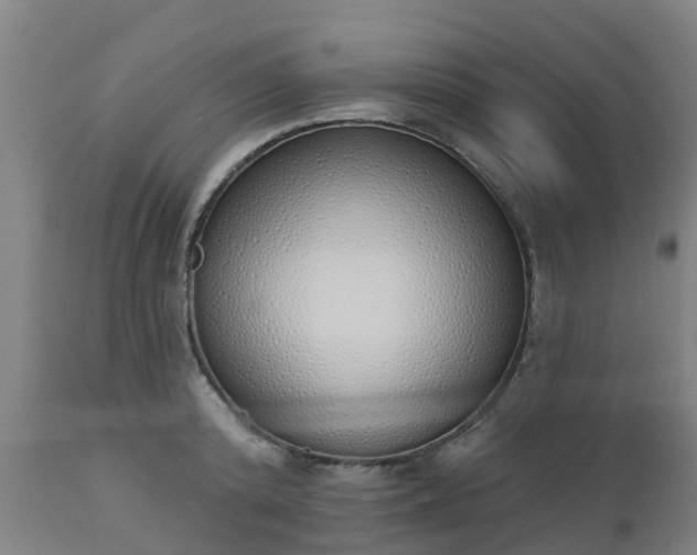 X0000112500800200908241348