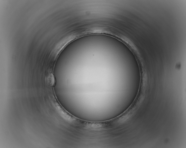 X0000112500801200908241348