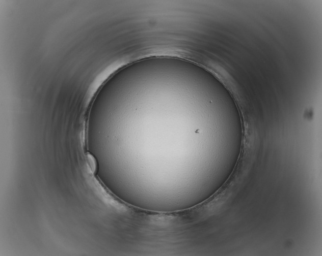 X0000112500804200908241348