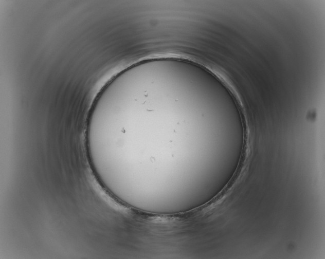 X0000112500805200908241348