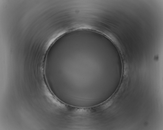 X0000112500806200908241348