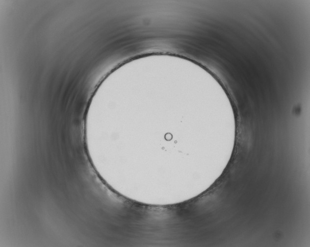 X0000112500807200908241348