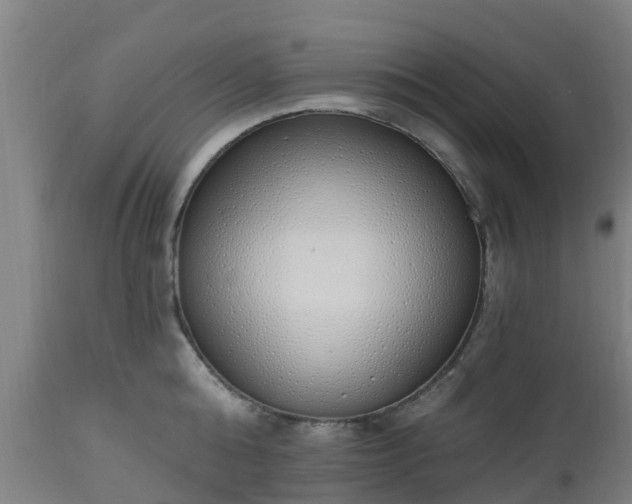 X0000112500808200908241348