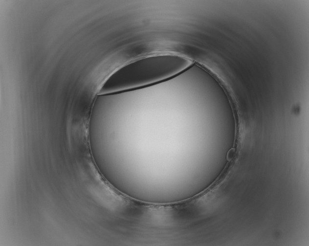 X0000112500809200908241348