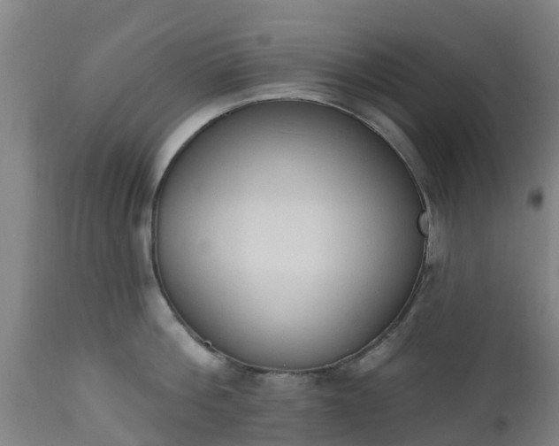 X0000112500812200908241348