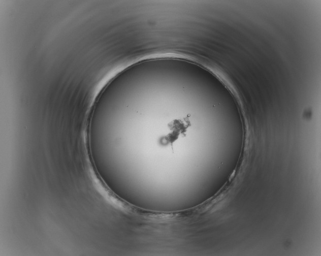 X0000112500813200908241348