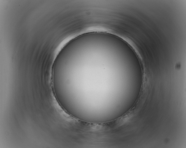 X0000112500815200908241348