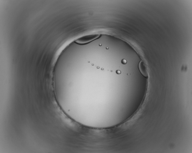 X0000112500816200908241348