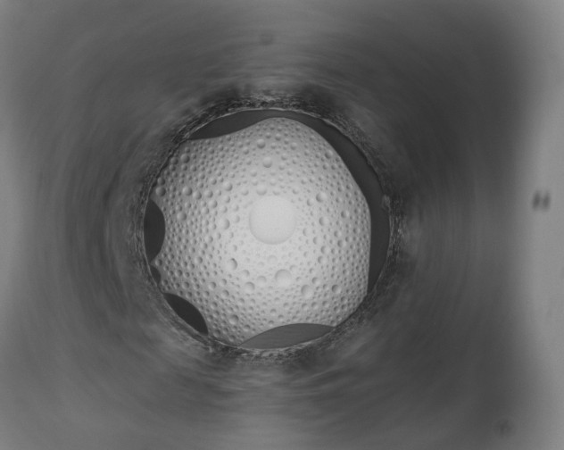 X0000112500817200908241347