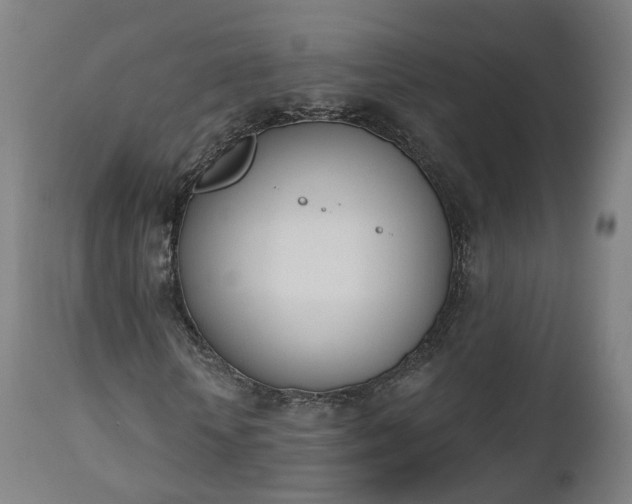 X0000112500818200908241347