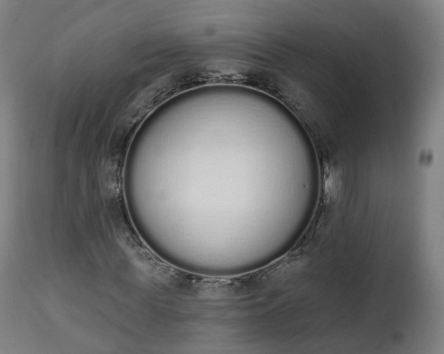 X0000112500819200908241347