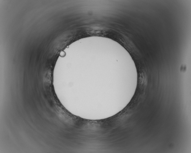 X0000112500820200908241347