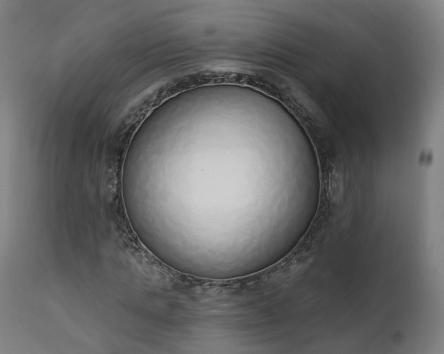 X0000112500821200908241347